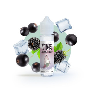 Mûre à point 50ml V'ice VDLV