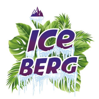 Iceberg Mûre Myrtille 10ml - O'Jlab