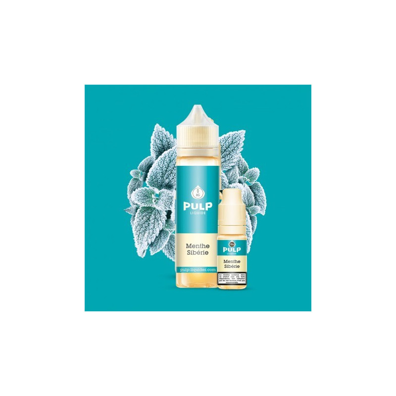 Pack Menthe Sibérie 60ml Pulp