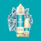 Pack Menthe Sibérie 60ml Pulp